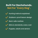 Built for Dachshunds, not for every dog