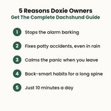 5 reasons Doxie owners get the guide